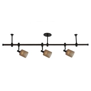 Stirling Transitions Antique Bronze Directional 3 light Kit Today $
