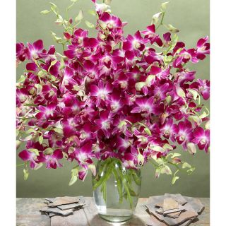 Mothers Day Preorder) Deluxe Purple Dendrobium Orchids with Large