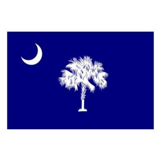 Nylglo 144860 South Carolina State Flag, 3x5 Ft
