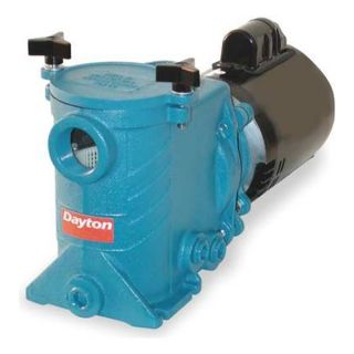 Dayton 1P857 Pump, Pool, 3/4 HP