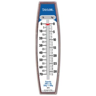 Taylor Precision Products 30704104 70LB Indus Hang Scale