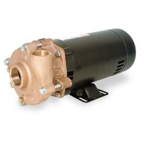 Dayton 4TE39 Centrifugal Pump, 1/2 HP, 1 Phase, 115/230V