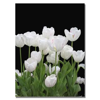Kathie McCurdy White Tulips Canvas Art