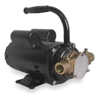 Dayton 3ABZ5 Pump, Bronze, 1/2 HP, 115/230V, 8.4/4.4 Amps