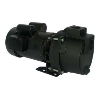 Dayton 5RWH2 Pump, Sprinkler/Booster, 3 HP, 1 Ph
